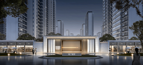 大华南门望府的效果图